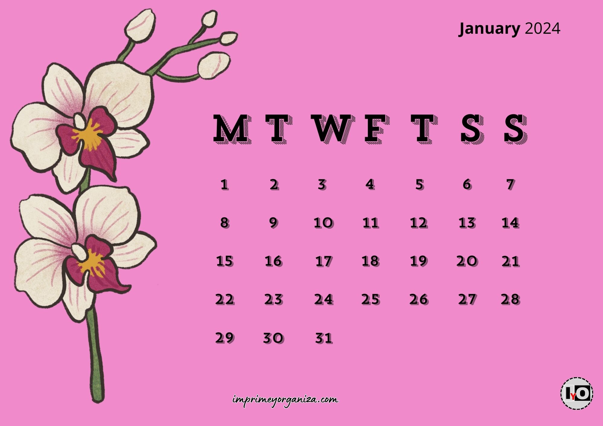 Calendario January Orquidea