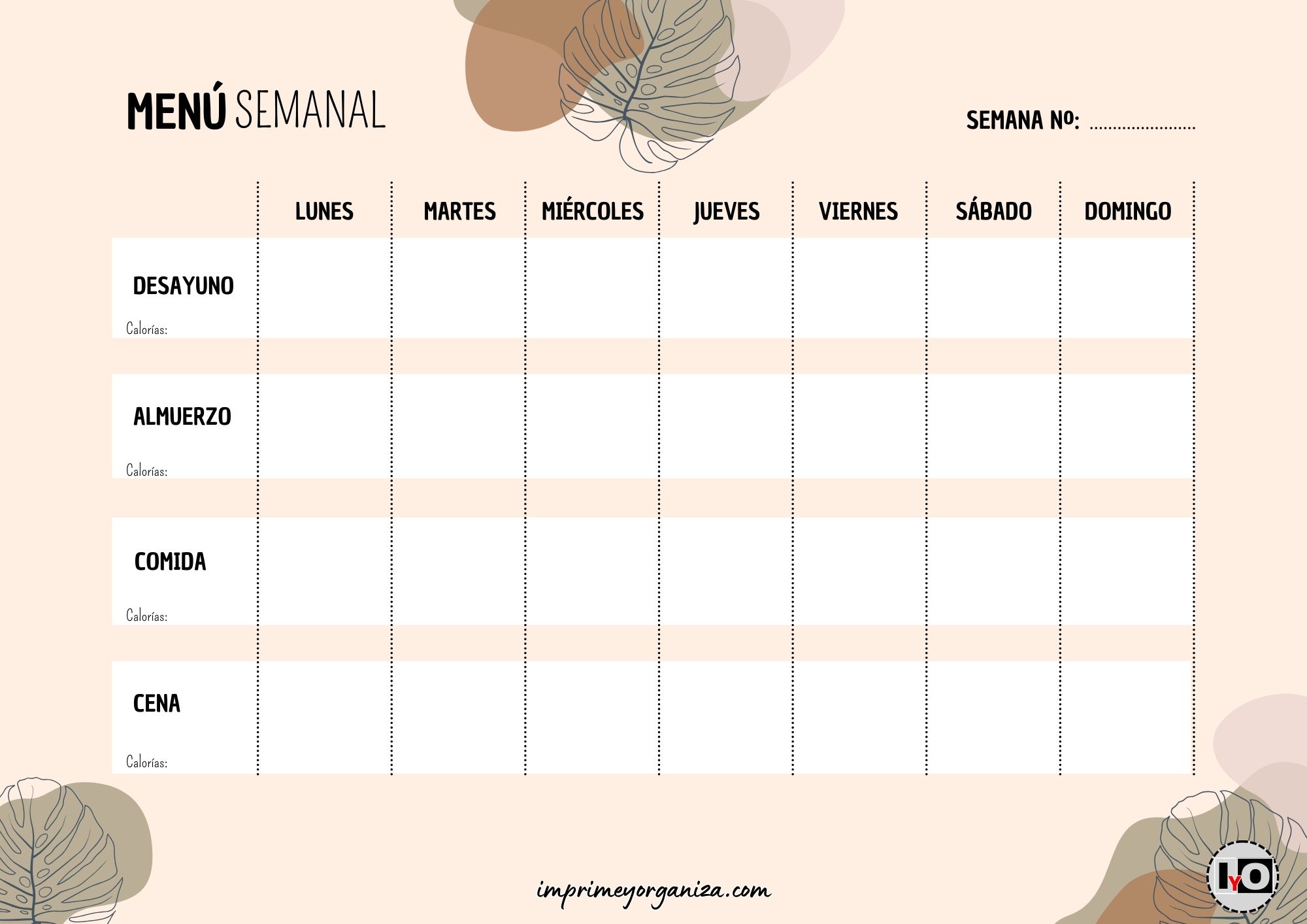 Menú Monsteras 4 Comidas con Almuerzo