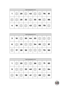Cartones de Bingo Grises