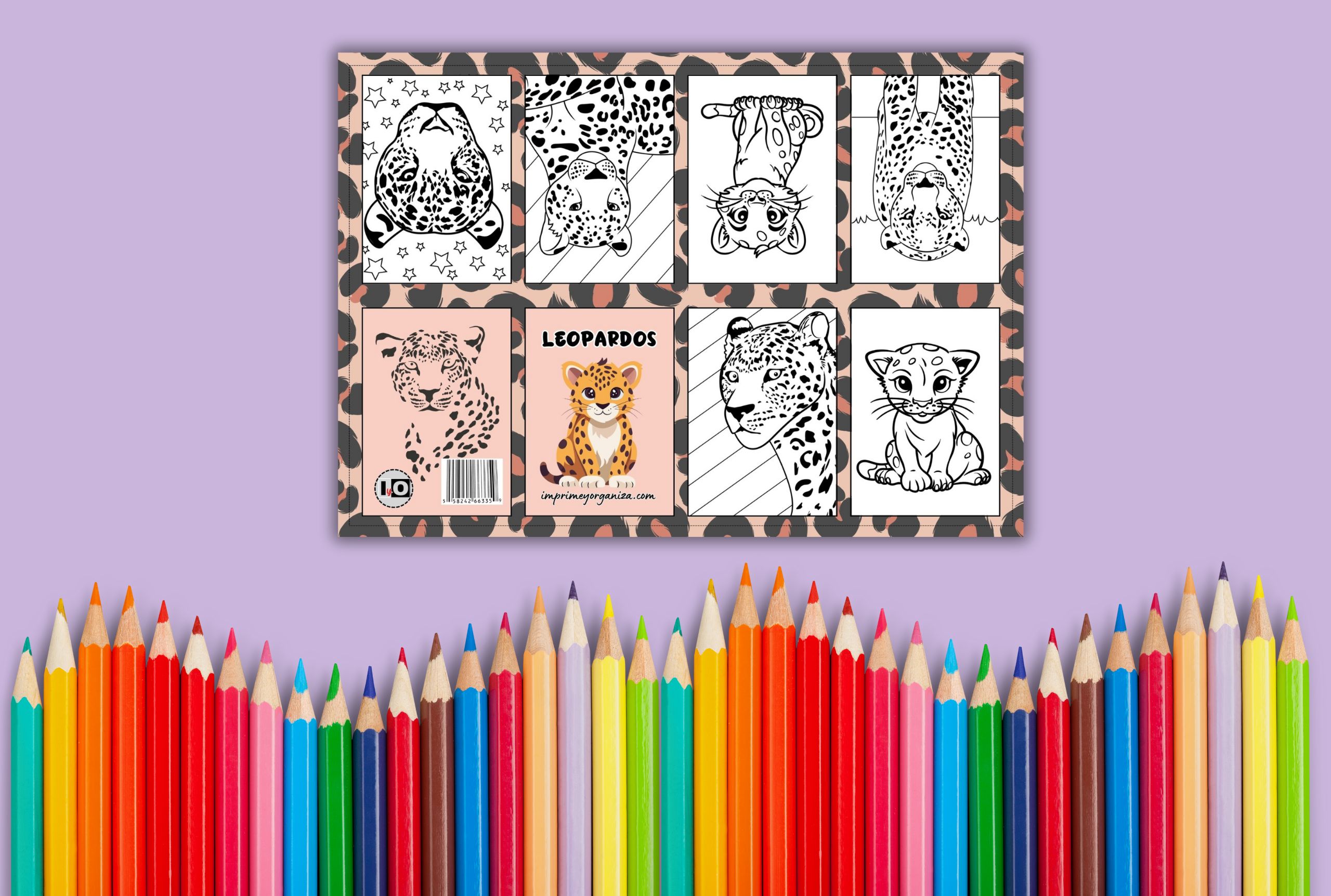 libritos de colorear de animales