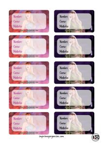 Etiquetas Escolares de Taylor Swift