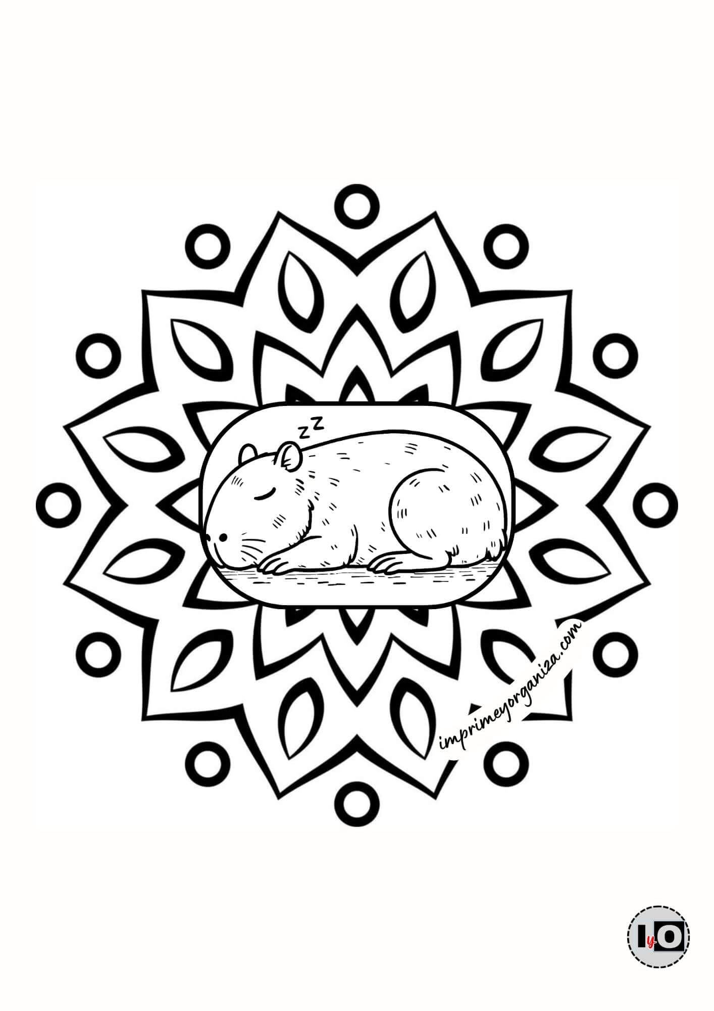 Mandala Capibara Dormido