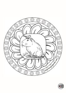Mandala Capibara Pájaro