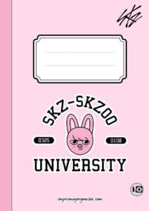 Portada Skzoo Dwaekki