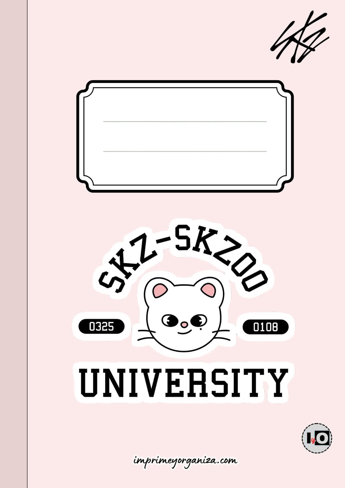 Portada Skzoo Jiniret