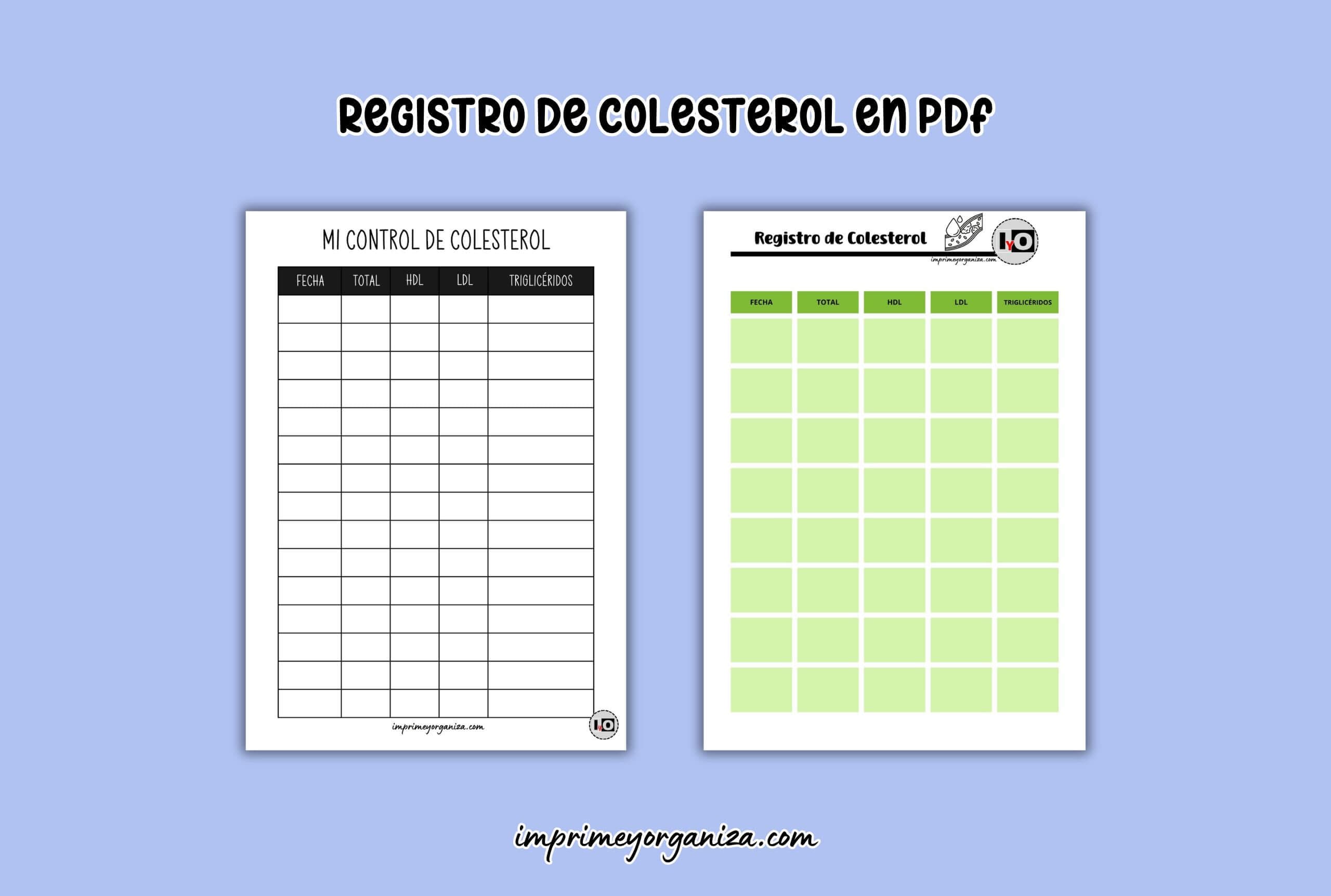 registro de colesterol en pdf gratis