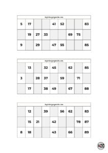 Cartones de Bingo Blanco y Negro 10