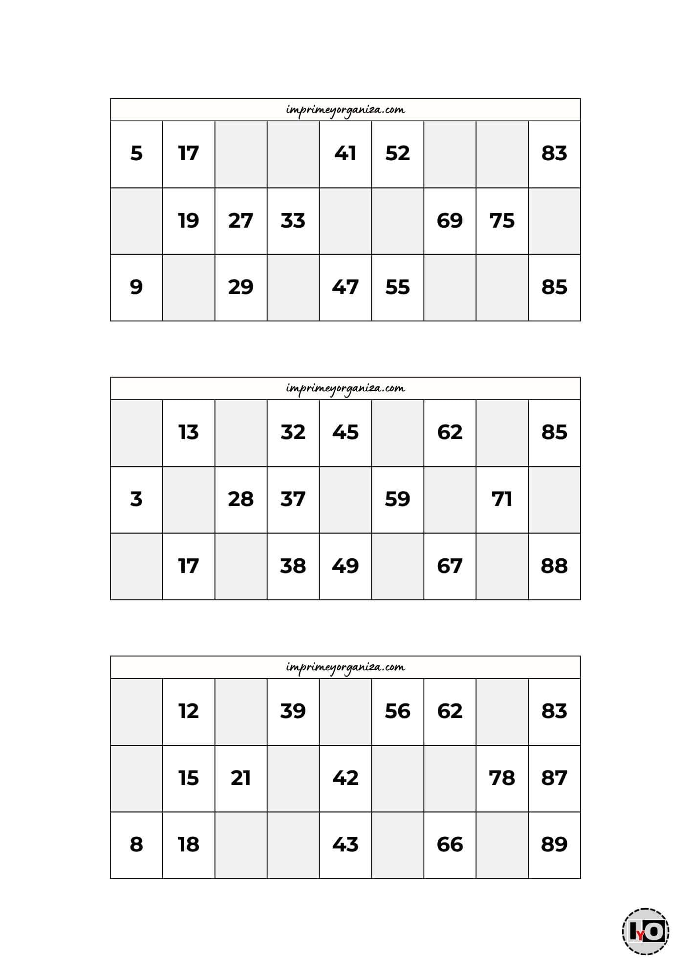 Cartones de Bingo Blanco y Negro 10