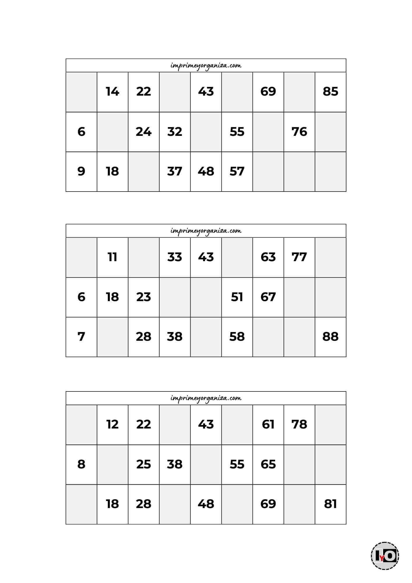 Cartones de Bingo Blanco y Negro 11