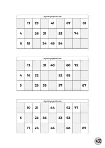 Cartones de Bingo Blanco y Negro 12