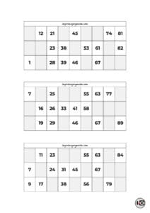 Cartones de Bingo Blanco y Negro 2
