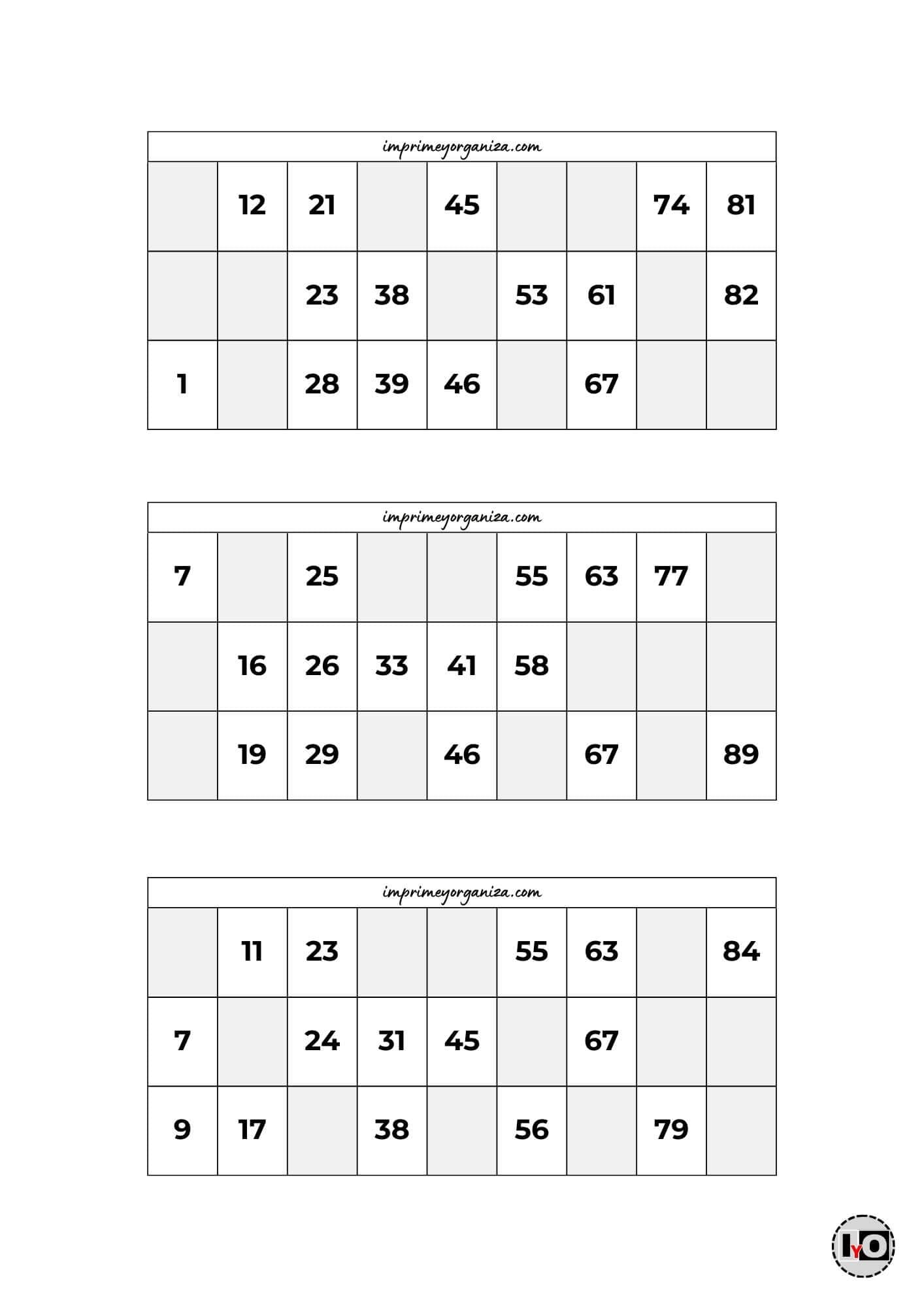Cartones de Bingo Blanco y Negro 2