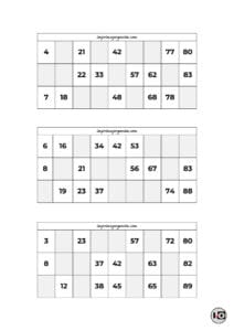 Cartones de Bingo Blanco y Negro 3