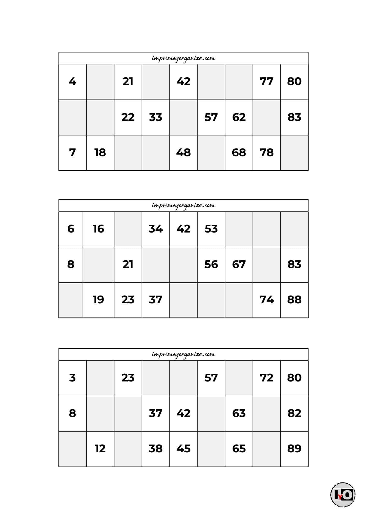 Cartones de Bingo Blanco y Negro 3