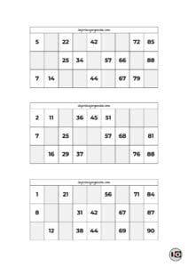 Cartones de Bingo Blanco y Negro 4