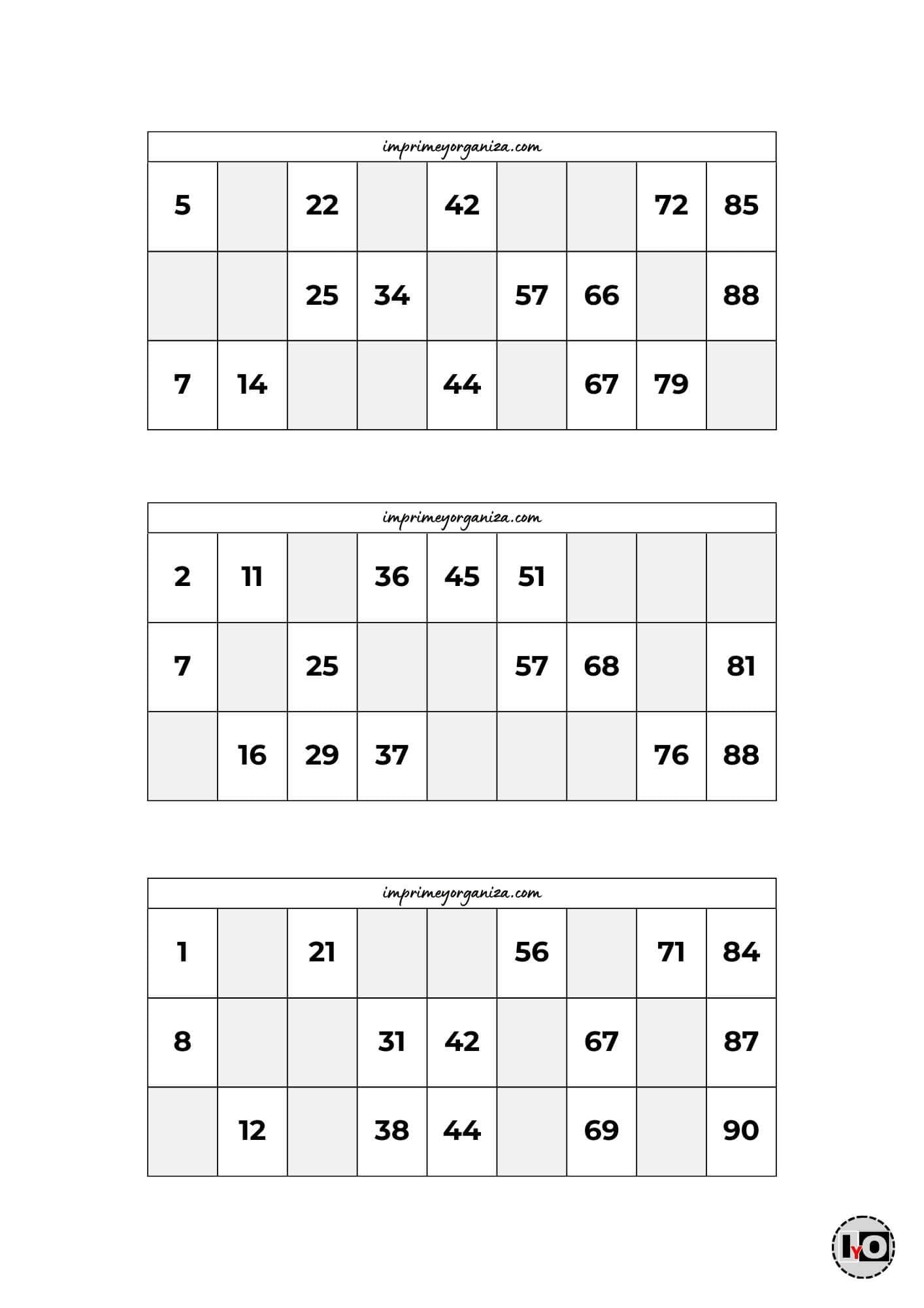 Cartones de Bingo Blanco y Negro 4