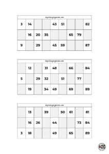 Cartones de Bingo Blanco y Negro 5