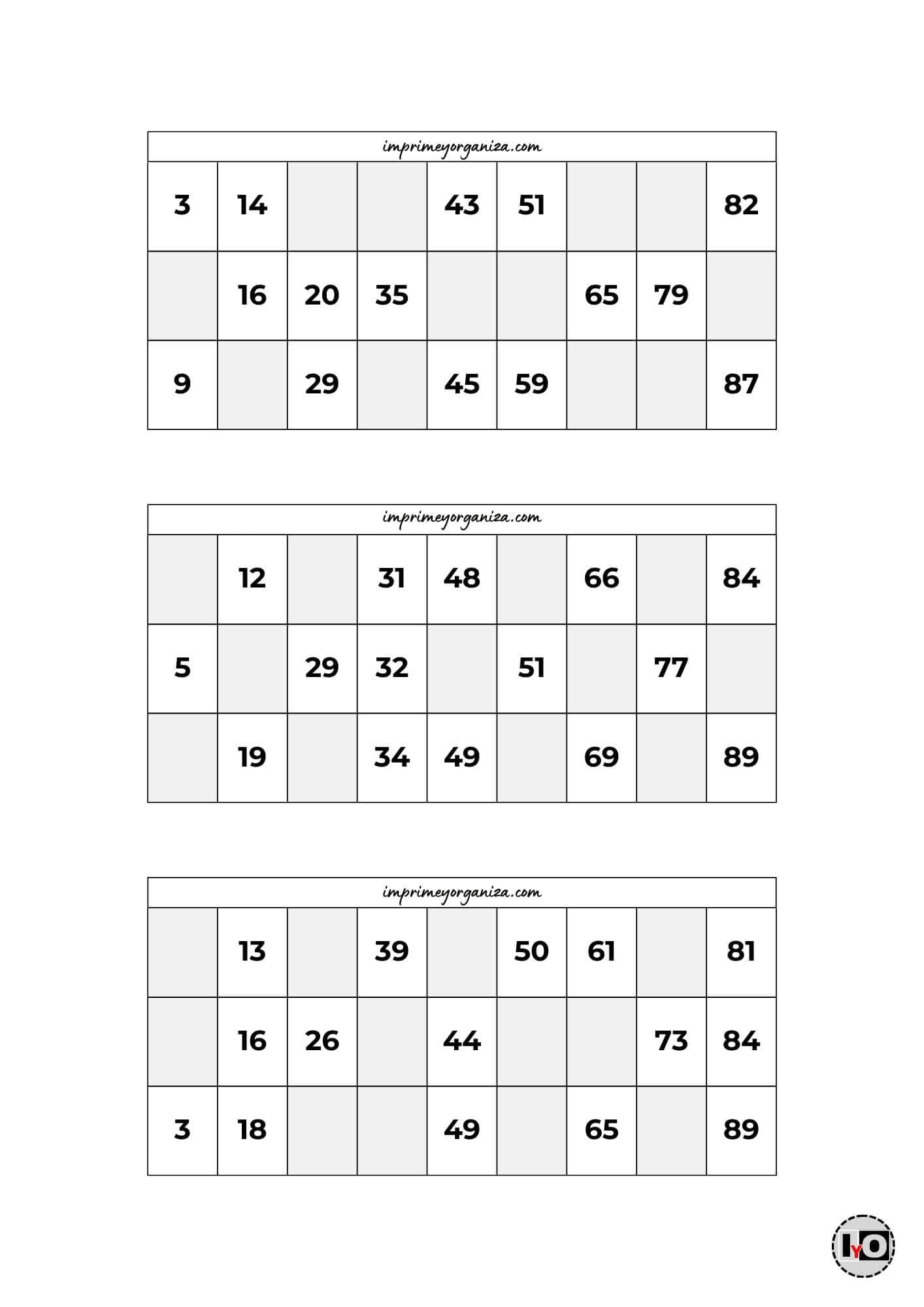 Cartones de Bingo Blanco y Negro 5