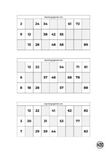 Cartones de Bingo Blanco y Negro 6