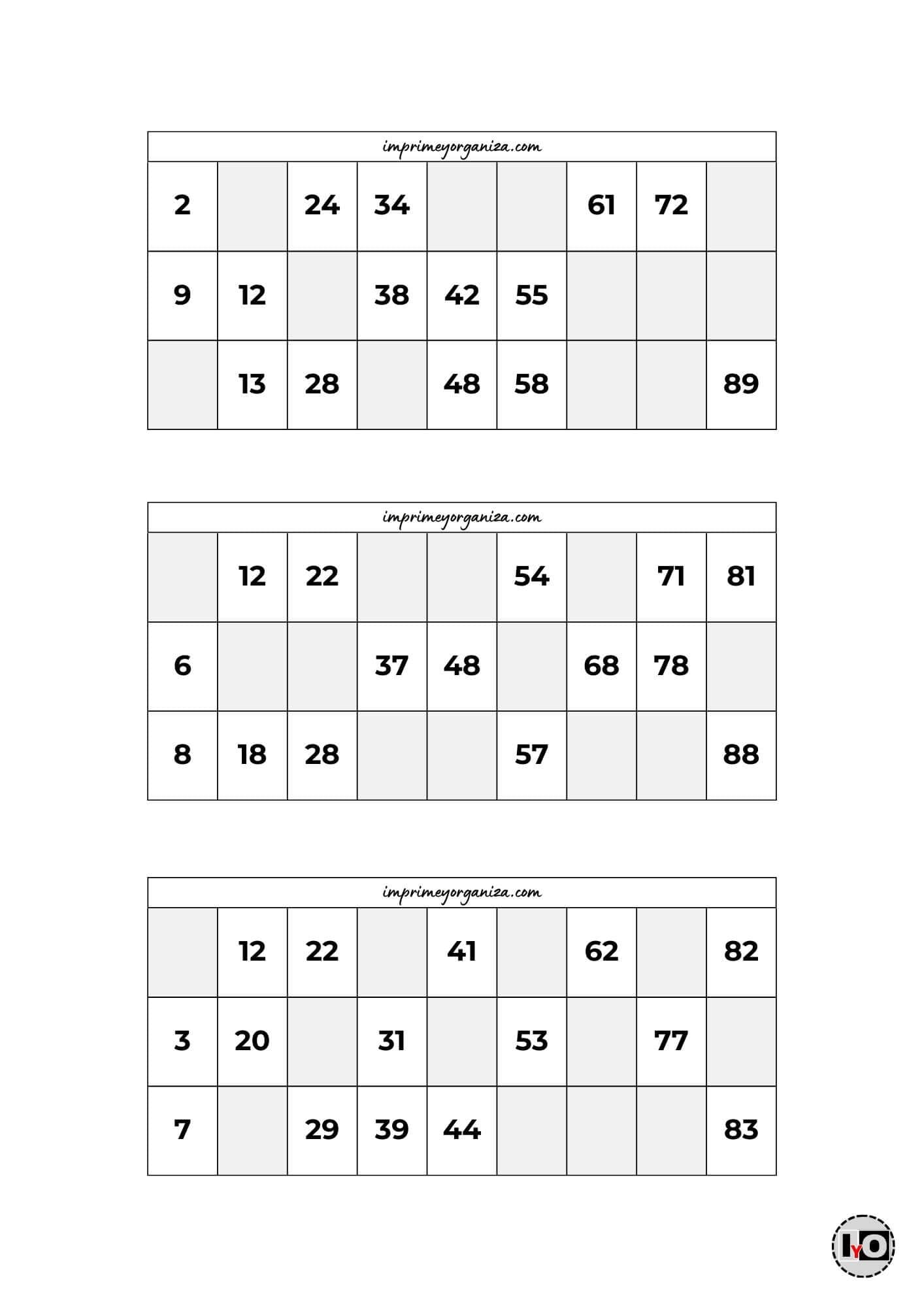 Cartones de Bingo Blanco y Negro 6