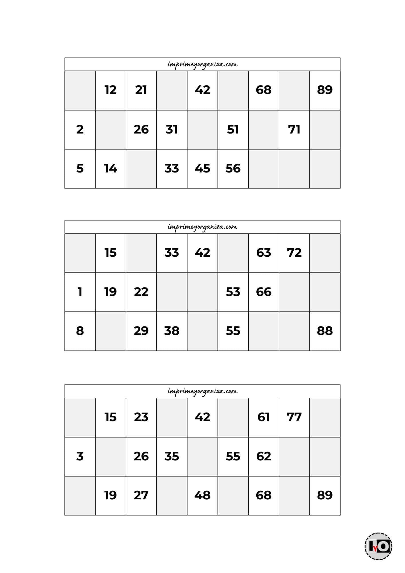 Cartones de Bingo Blanco y Negro 7