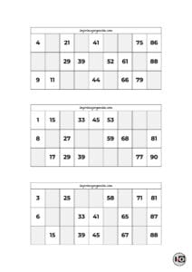 Cartones de Bingo Blanco y Negro 8