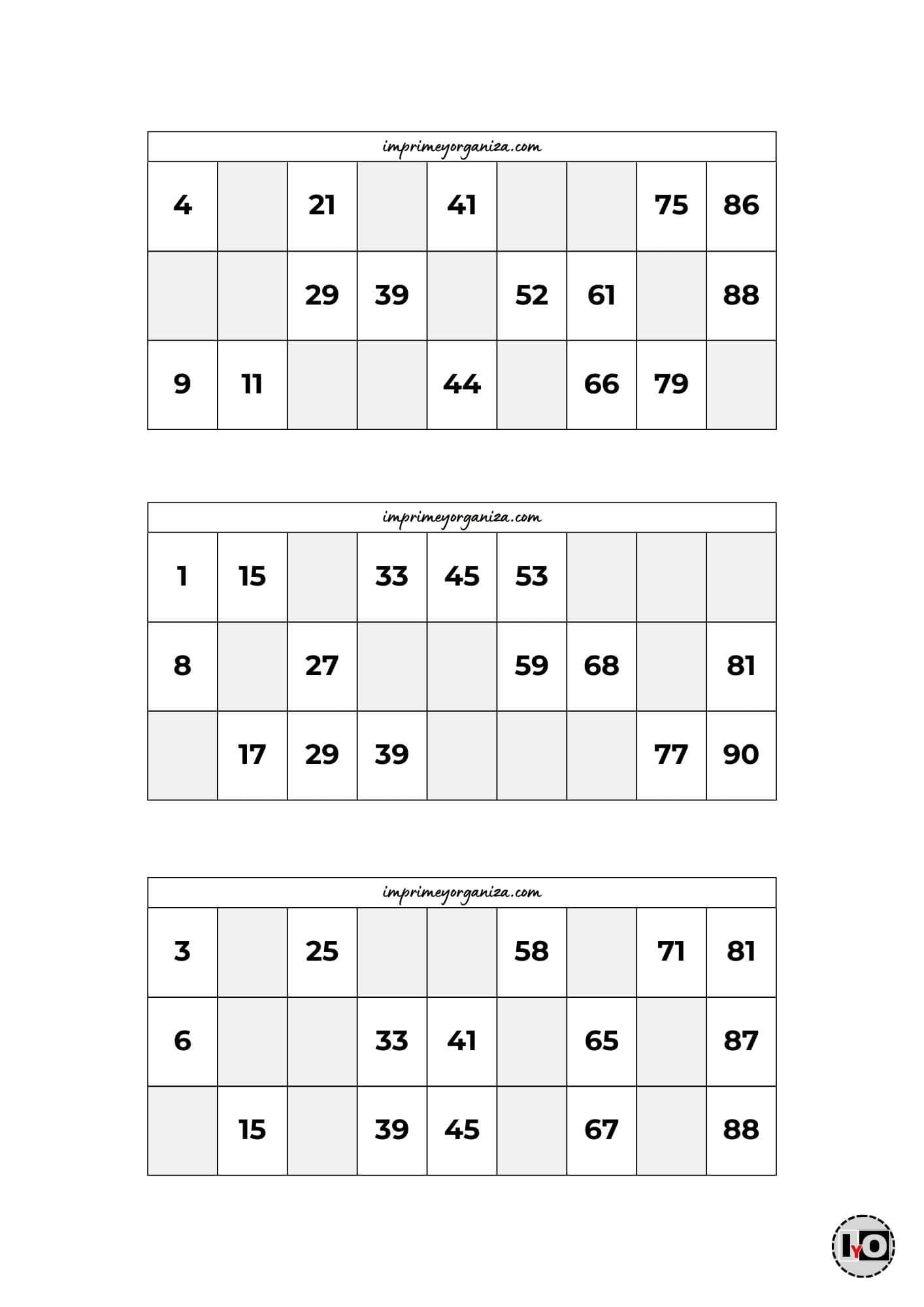 Cartones de Bingo Blanco y Negro 8