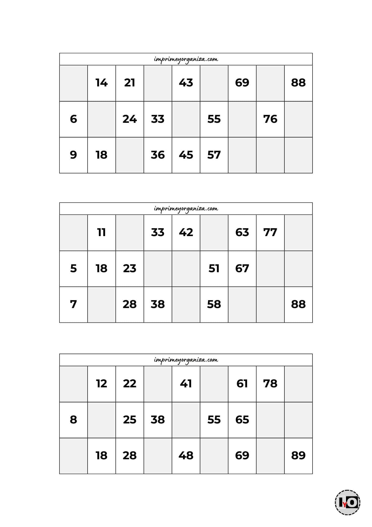 Cartones de Bingo Blanco y Negro 9