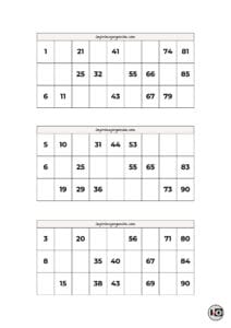 Cartones de Bingo Gris