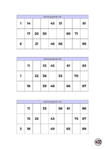 Cartones de Bingo Lila