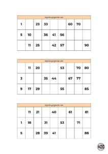 Cartones de Bingo Naranja Pastel