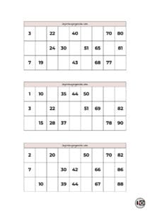 Cartones de Bingo Nude