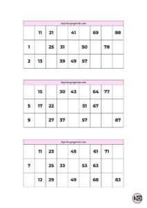 Cartones de Bingo Rosa Pastel