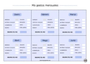 Gastos Mensuales del Hogar Blue