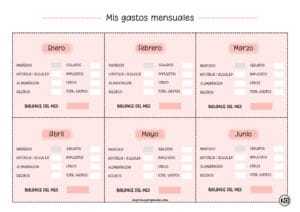 Gastos Mensuales del Hogar Rosa