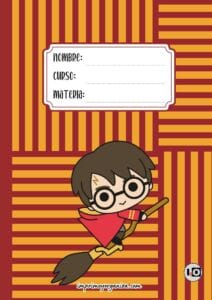 Portada Harry Quidditch