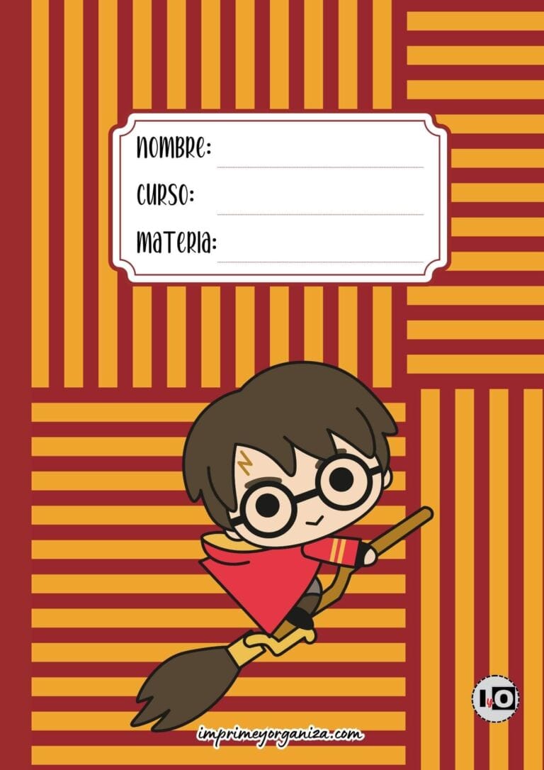 Portada Harry Quidditch