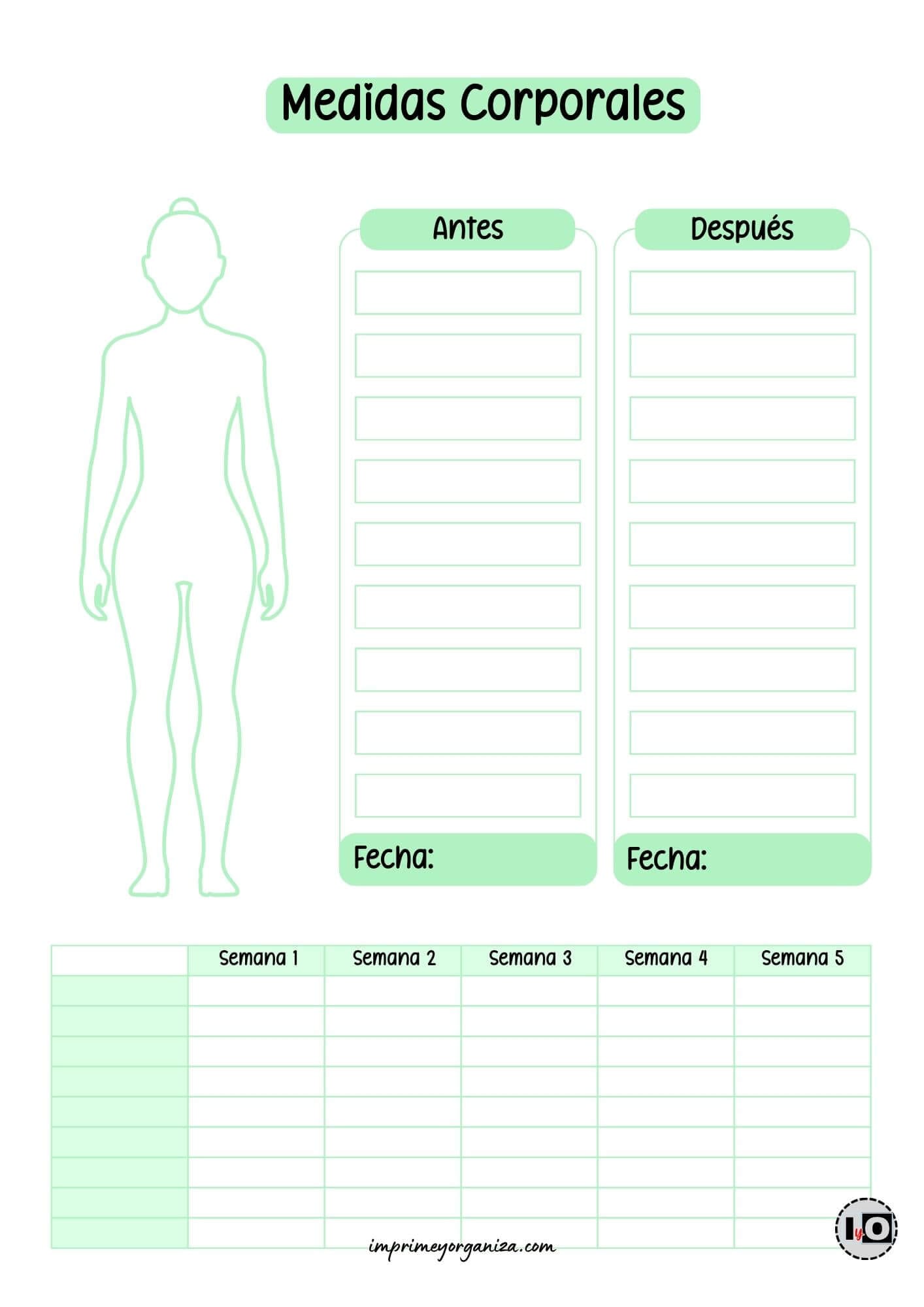 Control de medidas corporales mint