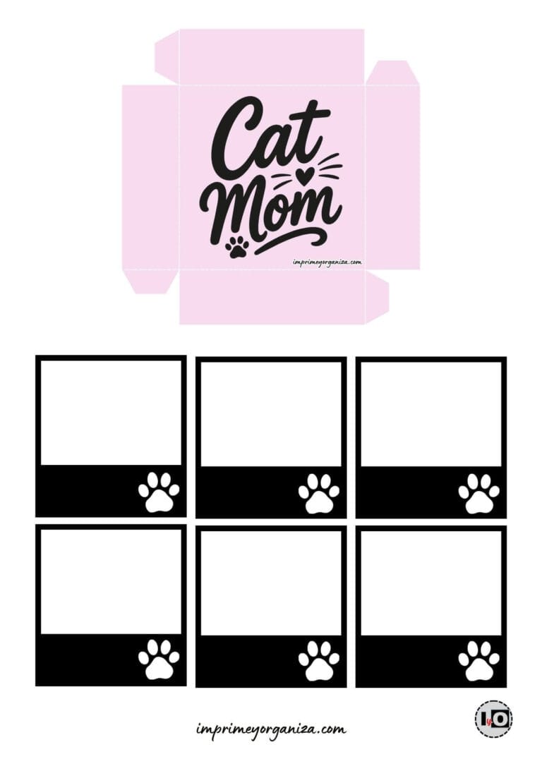 Caja explosiva mamá de gato