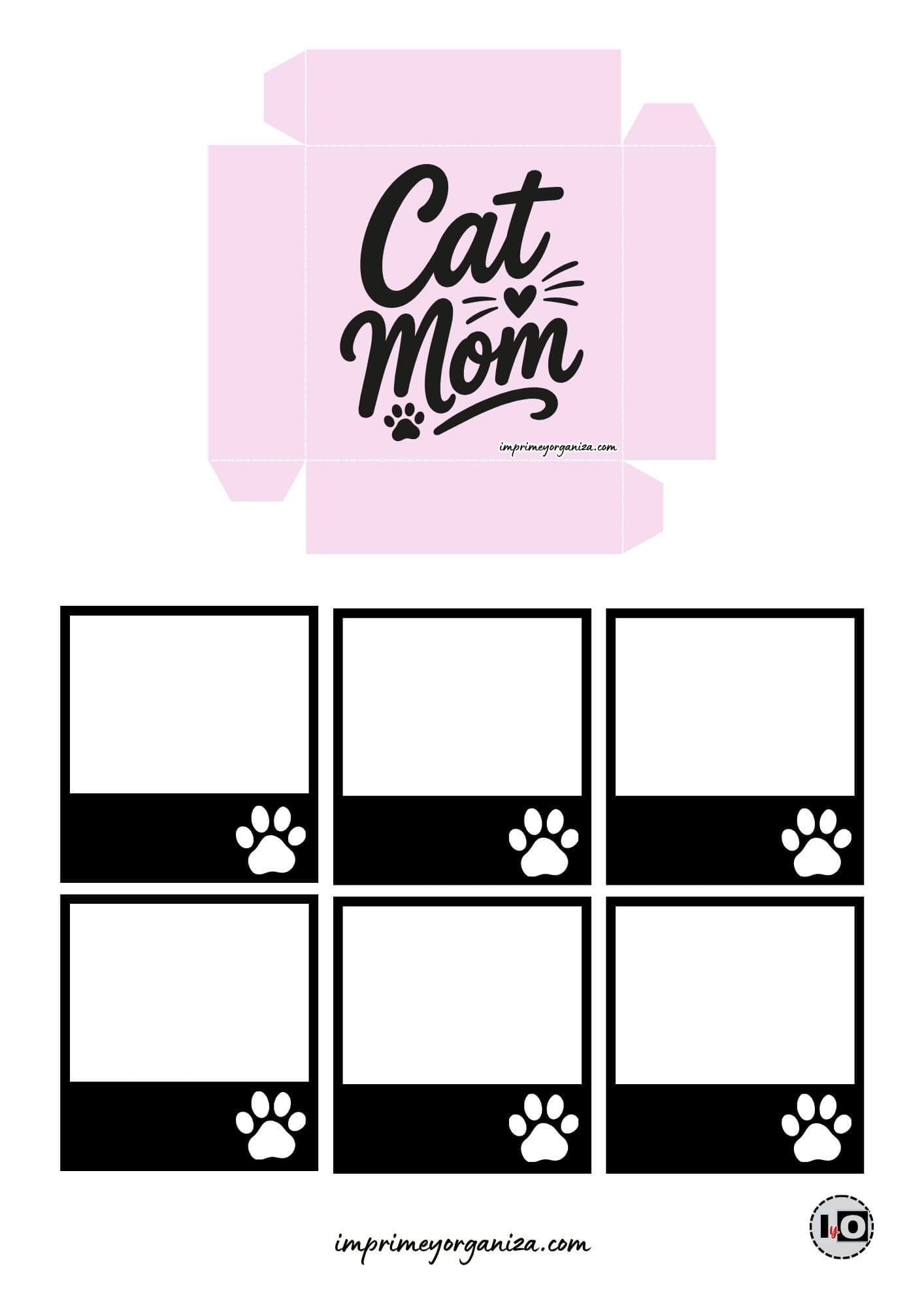 Caja explosiva mamá de gato