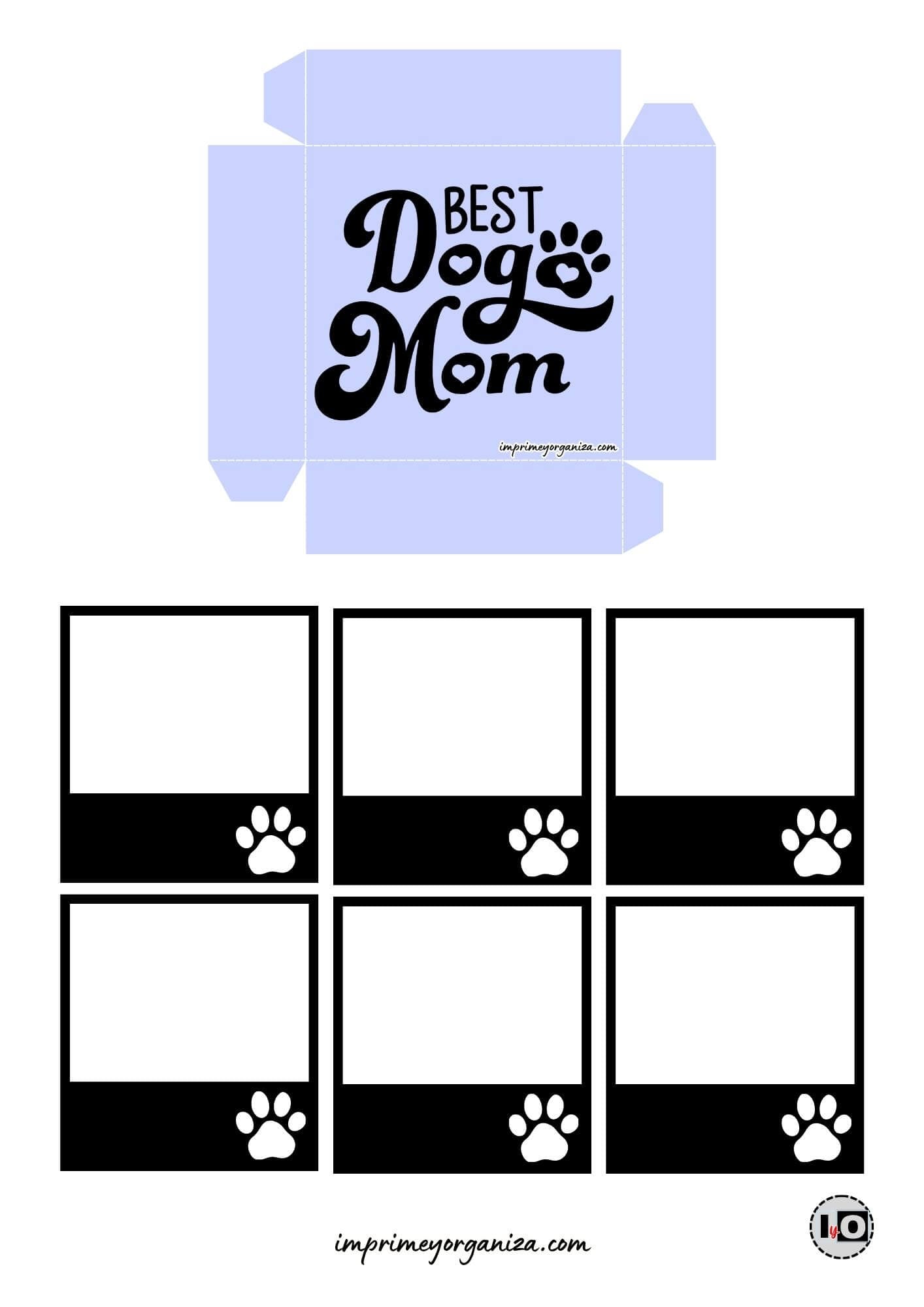 Caja explosiva mamá de perro