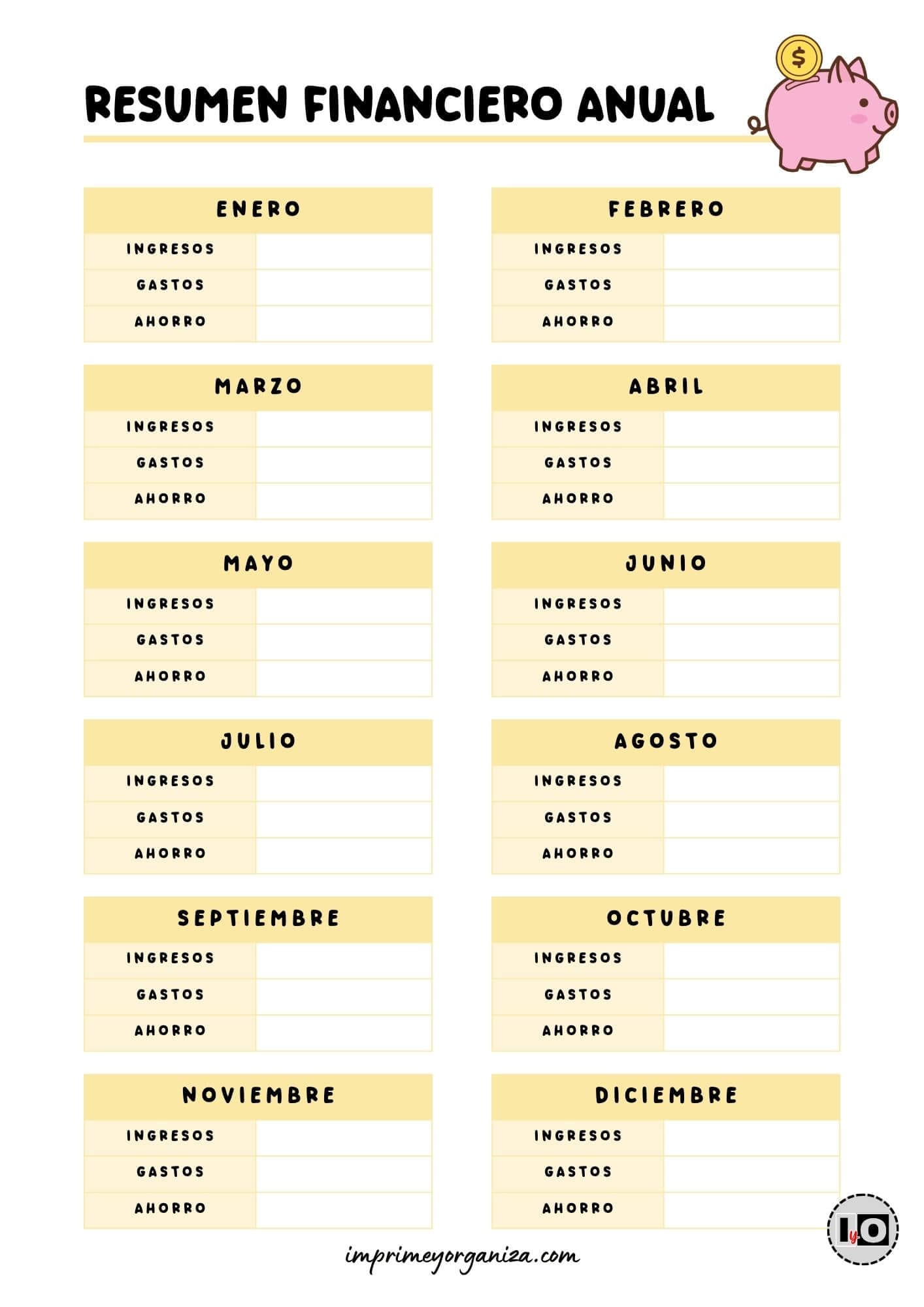 Resumen financiero anual Amarillo