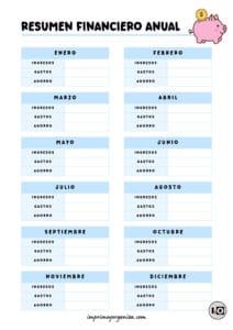 Resumen financiero anual Azul