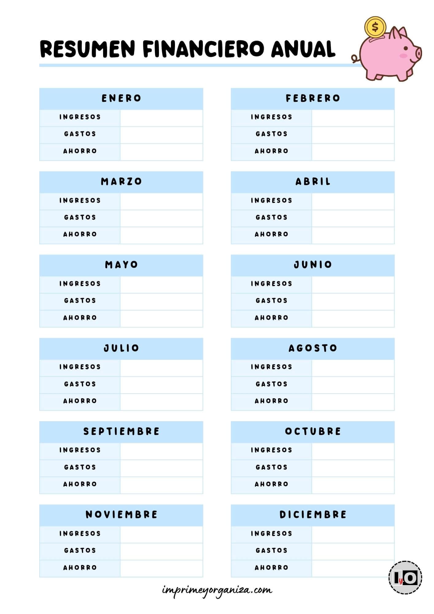 Resumen financiero anual Azul
