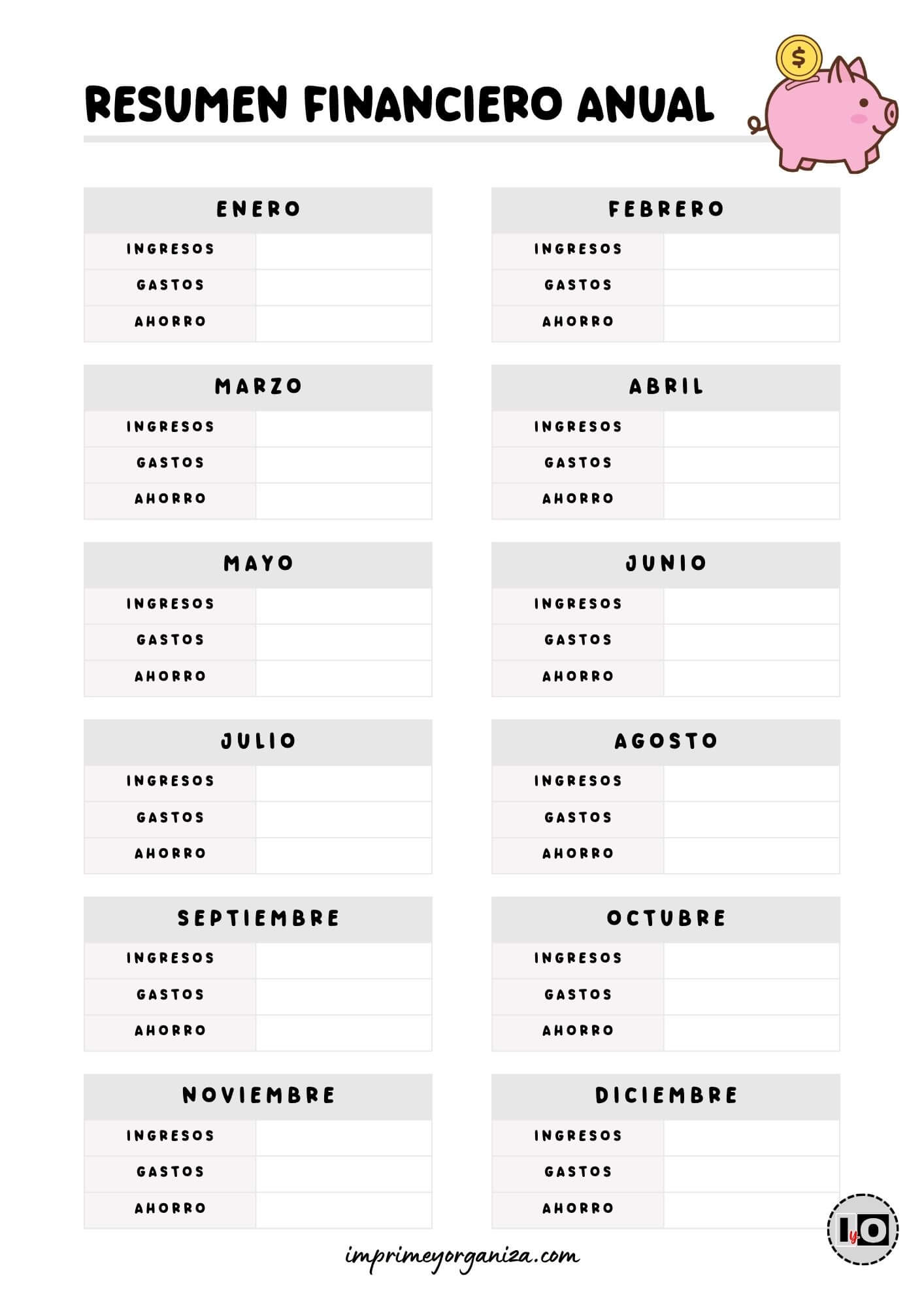 Resumen financiero anual Gris