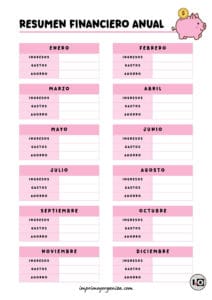 Resumen financiero anual Rosa