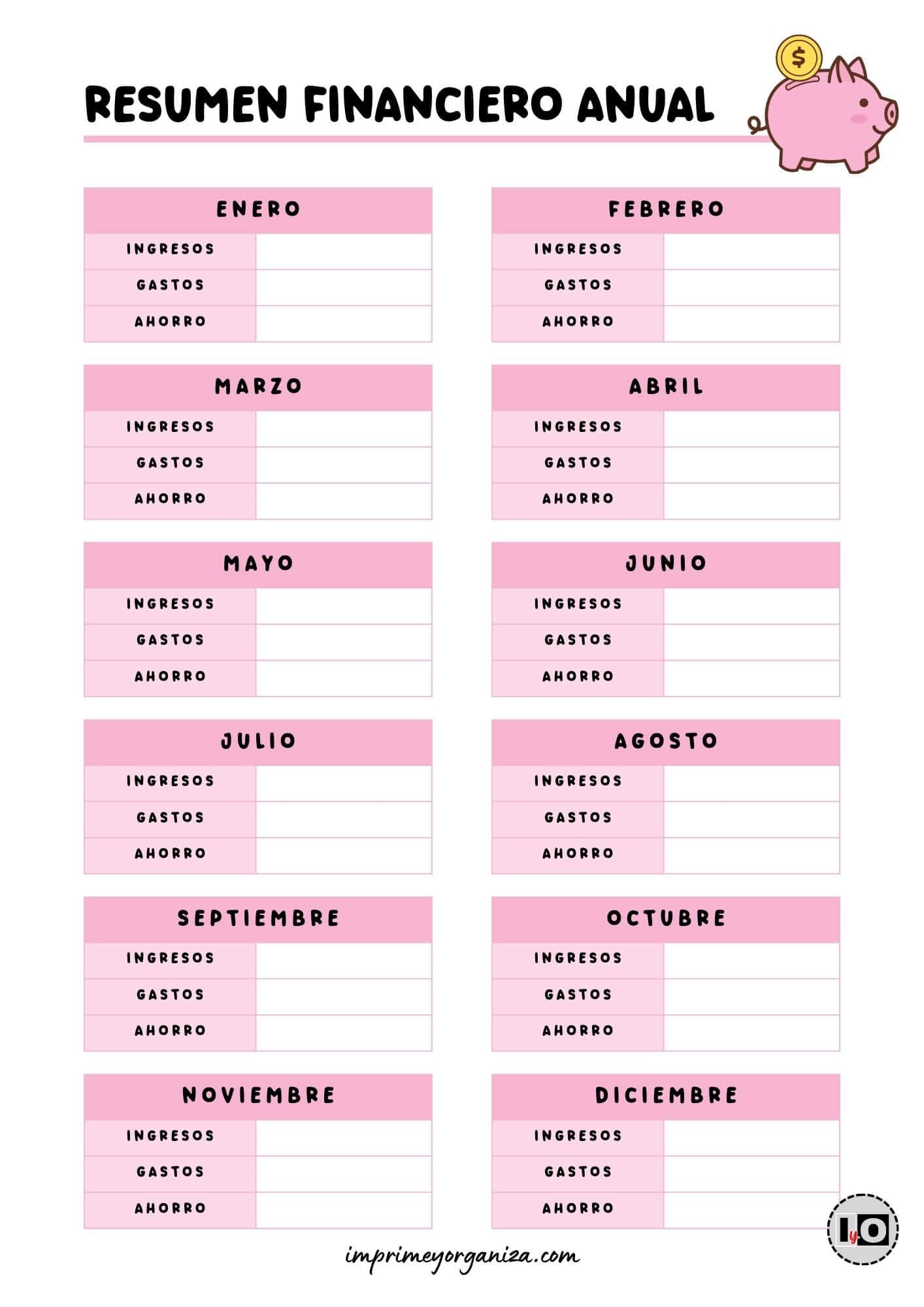 Resumen financiero anual Rosa