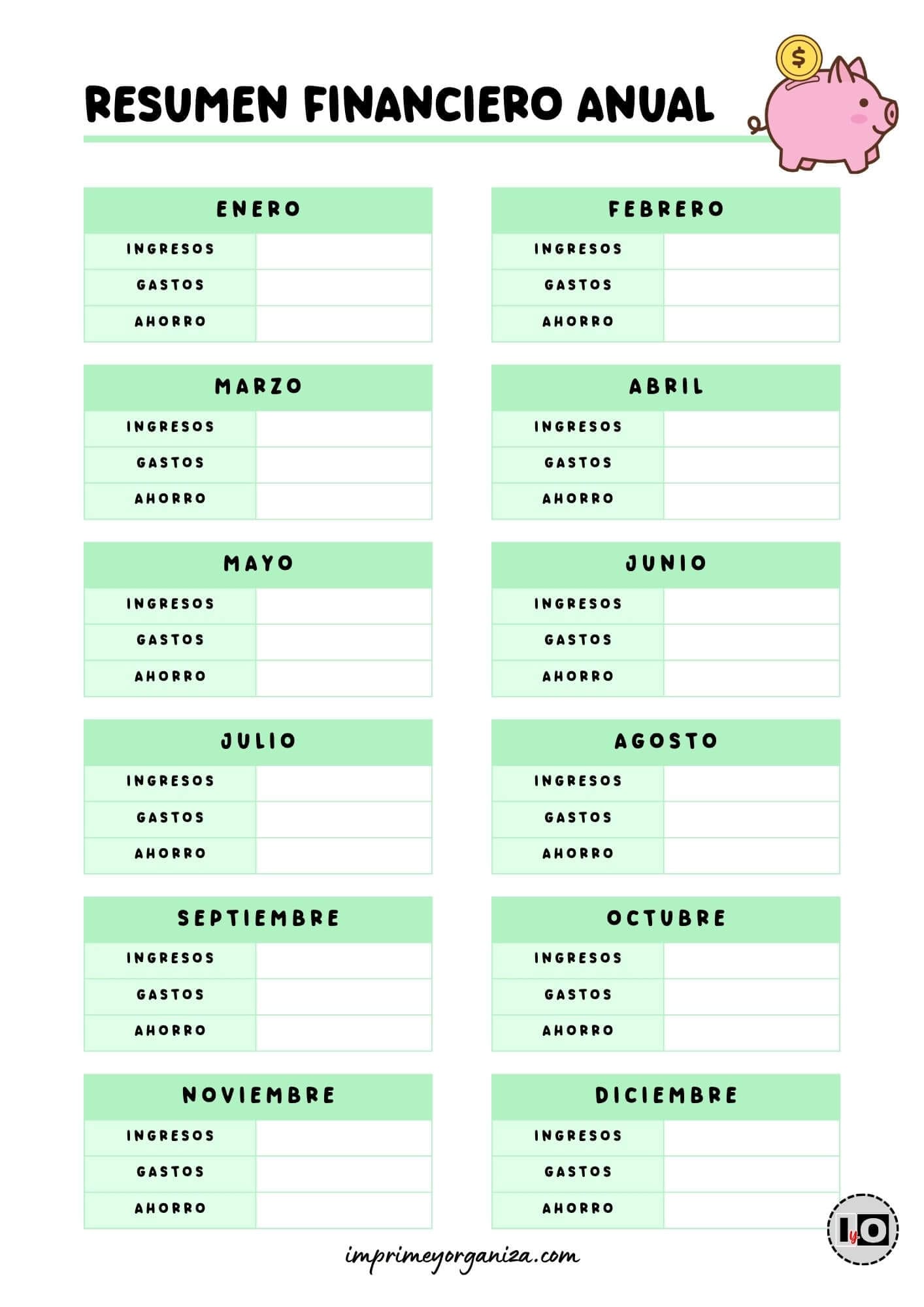 Resumen financiero anual Verde
